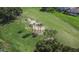 Scenic aerial view showcases lush green landscape and picturesque sand trap at 5303 Cottonwood Tree Cir, Valrico, FL 33596