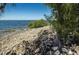 Rocky beach coastline with lush green vegetation provides a natural waterfront view at 6009 Sea Ranch Dr # 306, Hudson, FL 34667