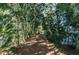 Charming path surrounded by lush trees at 6009 Sea Ranch Dr # 306, Hudson, FL 34667