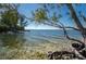Scenic water view with a tree on the side at 6009 Sea Ranch Dr # 306, Hudson, FL 34667