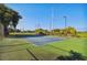 Well-maintained tennis court surrounded by trees, with lighting for evening play at 8517 Island Breeze Ln # 207, Temple Terrace, FL 33637