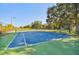 Well-maintained tennis court in great condition with trees along the sides at 8517 Island Breeze Ln # 207, Temple Terrace, FL 33637