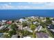 Aerial view of waterfront homes with lush greenery and ocean views at 111 Carlyle Dr, Palm Harbor, FL 34683