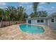 Backyard oasis featuring a private pool surrounded by a stone paver patio at 111 Carlyle Dr, Palm Harbor, FL 34683