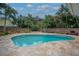 Backyard oasis featuring a private pool surrounded by a stone paver patio and lush landscaping at 111 Carlyle Dr, Palm Harbor, FL 34683