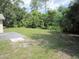 Large backyard features a concrete patio area and a spacious grassy yard with mature trees and shrubbery at 12615 Logan Pl, Tampa, FL 33625
