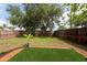 Backyard featuring green grass and a wooden fence for privacy at 1421 Dew Bloom Rd, Valrico, FL 33594