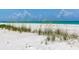 Serene beach with tall beach grass blowing gently in the breeze, inviting you to relax and unwind at 1430 Gulf Blvd # 707, Clearwater Beach, FL 33767