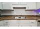 Functional kitchen area showcasing white cabinets and a stainless steel sink at 14732 Morning Dr, Lutz, FL 33559