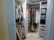 Organized walk-in closet with ample storage shelves and hanging space at 15916 Marshfield Dr, Tampa, FL 33624