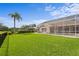 Large backyard features lush lawn, mature trees, and a screened enclosure over the pool for outdoor enjoyment at 3707 Smoke Hickory Ln, Valrico, FL 33596