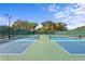 Modern pickleball courts with blue and green surfaces and well-maintained surroundings provide an attractive amenity at 3707 Smoke Hickory Ln, Valrico, FL 33596