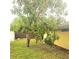 Backyard featuring a mature mango tree laden with fruit at 4111 W La Salle St, Tampa, FL 33607
