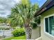 Lush landscaping featuring a palm tree, green bushes, a view of the pool, and a well-maintained lawn at 4215 E Bay Dr # 1707C, Clearwater, FL 33764