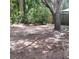 A view of the empty backyard area surrounded by trees and a wooden fence on a sunny day at 6517 Summer Cove Dr, Riverview, FL 33578