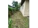 Side yard featuring potential garden space alongside the home's exterior, enclosed by a lush, verdant fence line at 8718 N Brooks St, Tampa, FL 33604