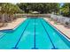 Relaxing community pool featuring ample lounge seating, clear blue water, and manicured landscaping at 10422 Fenceline Rd, New Port Richey, FL 34655