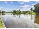 Picturesque waterfront view with calm water, lily pads, blue sky, and nearby houses at 1286 Stony Brook Ln, Dunedin, FL 34698