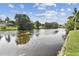 Beautiful view of the waterway lined by lush greenery and mature trees, with homes in the distance at 1286 Stony Brook Ln, Dunedin, FL 34698