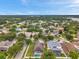 Expansive aerial view of a suburban neighborhood featuring well-maintained homes and lush greenery beneath a clear blue sky at 1328 Rushgrove Cir, Dover, FL 33527