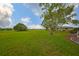 Expansive backyard view with lush green grass, mature trees, and blue skies in the distance at 1508 Ingram Dr # 20, Sun City Center, FL 33573