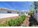 Charming home with a neatly landscaped backyard featuring green shrubs with orange flowers and mulched areas at 1897 Dolphin S Blvd, St Petersburg, FL 33707