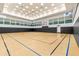 Bright and spacious basketball court with professional flooring and ample lighting at 2724 Coco Palm Cir, Wesley Chapel, FL 33543