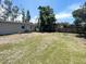 Large backyard, partially overgrown, with a wooden fence, mature trees and views to the neighbors at 4722 Harris Ave, Sarasota, FL 34233