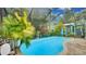 Lush greenery surrounds the screened-in pool, creating a private backyard oasis at 6011 Tangerine S Ave, Gulfport, FL 33707