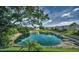 Tranquil view of the pond and lush greenery with distant residential buildings visible from the condo at 960 Virginia St # 202, Dunedin, FL 34698