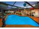 Relaxing enclosed pool area featuring vibrant lanterns and lush plants, perfect for outdoor enjoyment at 1151 Lancer Ln, Tarpon Springs, FL 34689