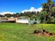 Expansive backyard with lush green grass, palm trees, and landscaping at 1373 Fairfax Rd, Clearwater, FL 33764