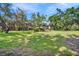 Expansive backyard with lush green grass, mature trees, and views of surrounding buildings at 1400 Tarpon Woods Blvd # A4, Palm Harbor, FL 34685