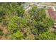 An aerial shot of the property's treed backyard and fencing at 14494 Copeland Way, Brooksville, FL 34604