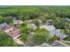 An aerial view of a residential neighborhood featuring well-maintained homes with lush landscaping and mature trees at 16003 Ridley Pl, Tampa, FL 33647