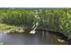 Aerial view of a lake with a wood dock, nestled among lush trees and serene water at 1827 Hammocks Ave # 1303, Lutz, FL 33549