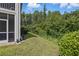Lush green backyard with mature trees, a screened lanai, and a serene natural setting at 1827 Hammocks Ave # 1303, Lutz, FL 33549