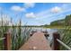 Picturesque wood dock with calm lake backdrop surrounded by nature and clear blue sky at 1827 Hammocks Ave # 1303, Lutz, FL 33549