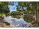 Scenic pond view with lush trees and sky reflections creating a serene and inviting atmosphere at 1827 Hammocks Ave # 1303, Lutz, FL 33549