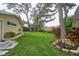 Lush green backyard featuring a beautiful lawn, mature trees, and colorful landscaping at 2273 Willowbrook Dr, Clearwater, FL 33764