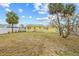 The backyard has palm trees and plenty of grass for outdoor enjoyment at 260 42Nd Ave, St Pete Beach, FL 33706