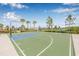 View of the community basketball court with trees and shrubs surrounding the court at 2771 Suncoast Blend Dr, Odessa, FL 33556