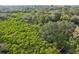 Expansive aerial view of a lush, green landscape with hints of waterway and a pier at 2990 Longbrooke Way, Clearwater, FL 33760