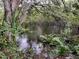 Lush backyard with trees and plants at 2990 Longbrooke Way, Clearwater, FL 33760