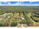 Aerial view of the property showing the home in the middle of beautiful trees at 3452 Forelock Rd, Tarpon Springs, FL 34688