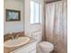 Bathroom featuring a vanity with granite countertop, toilet, and shower with patterned curtain at 3452 Forelock Rd, Tarpon Springs, FL 34688