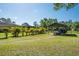 View of the lawn featuring the carport near tropical trees and the back of the home at 3452 Forelock Rd, Tarpon Springs, FL 34688