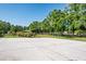 View of a long driveway leading to a carport, framed by lush greenery and mature trees in the background at 3452 Forelock Rd, Tarpon Springs, FL 34688