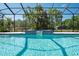 Serene screened-in pool and spa with a backdrop of trees, creating a tranquil oasis at 3452 Forelock Rd, Tarpon Springs, FL 34688