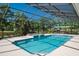 Stunning screened-in pool with a built-in spa and serene views of the surrounding landscape at 3452 Forelock Rd, Tarpon Springs, FL 34688